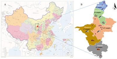 Detection of the dominant pathogens in diarrheal calves of Ningxia, China in 2021–2022